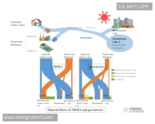 查路与ops奥鲁的对决解析及其在行业中的影响与启示